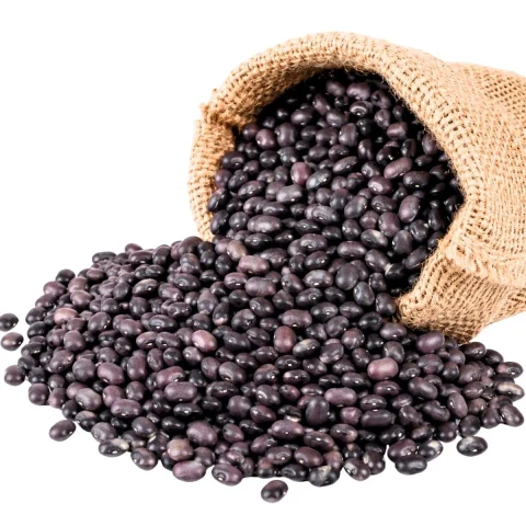 Black beans — product reference photograph