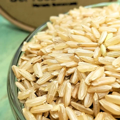 Brown rice — product reference photograph