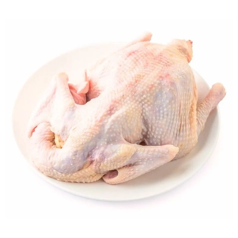 Duck meat — product reference photograph