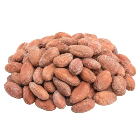 Fermented cocoa beans — product reference photograph