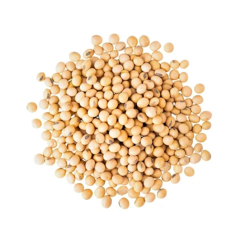 Food-grade non-GMO soybeans — product reference photograph