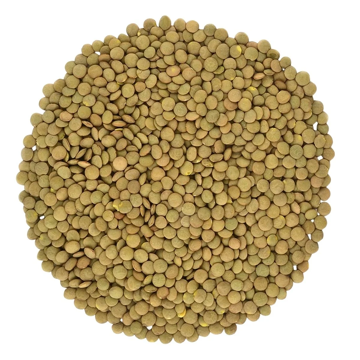 Green lentils — product reference photograph
