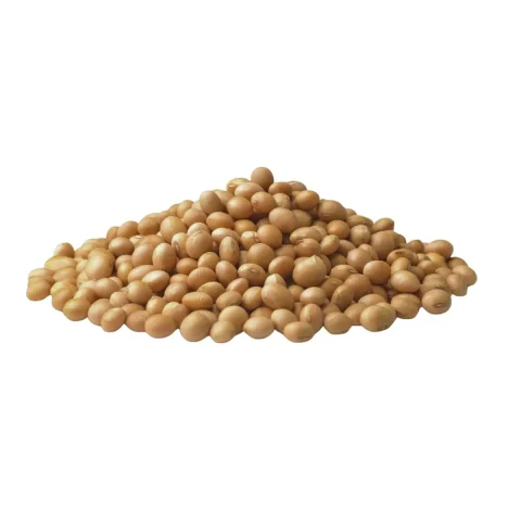 Organic non-GMO soybeans — product reference photograph