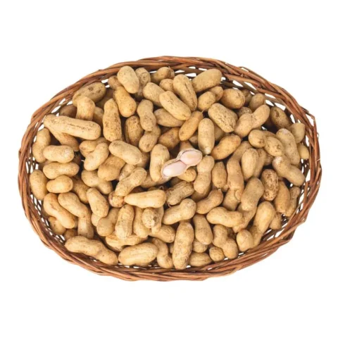 Peanuts — product reference photograph