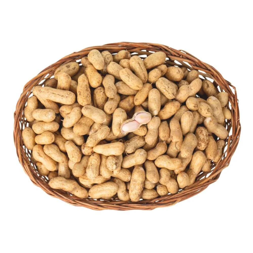 Peanuts — product reference photograph