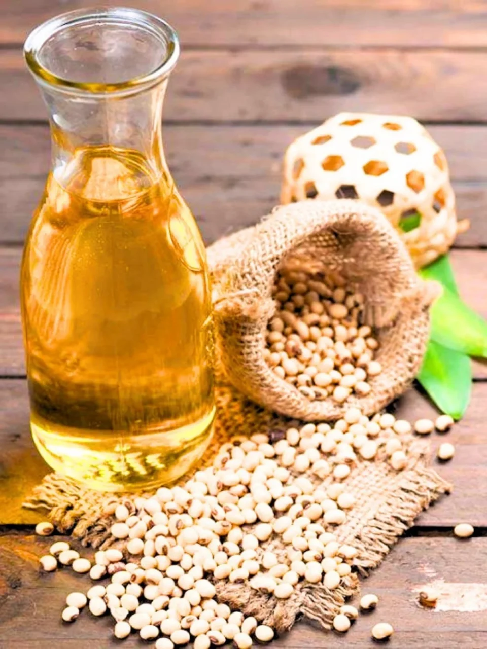 Refined soybean oil — product reference photograph