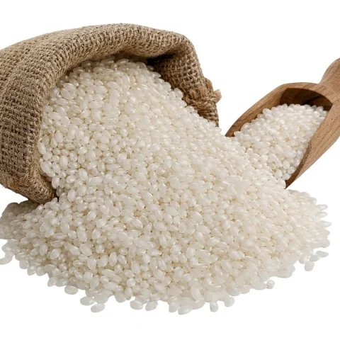 Round rice — product reference photograph