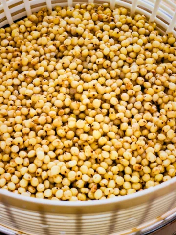 Sorghum — product reference photograph