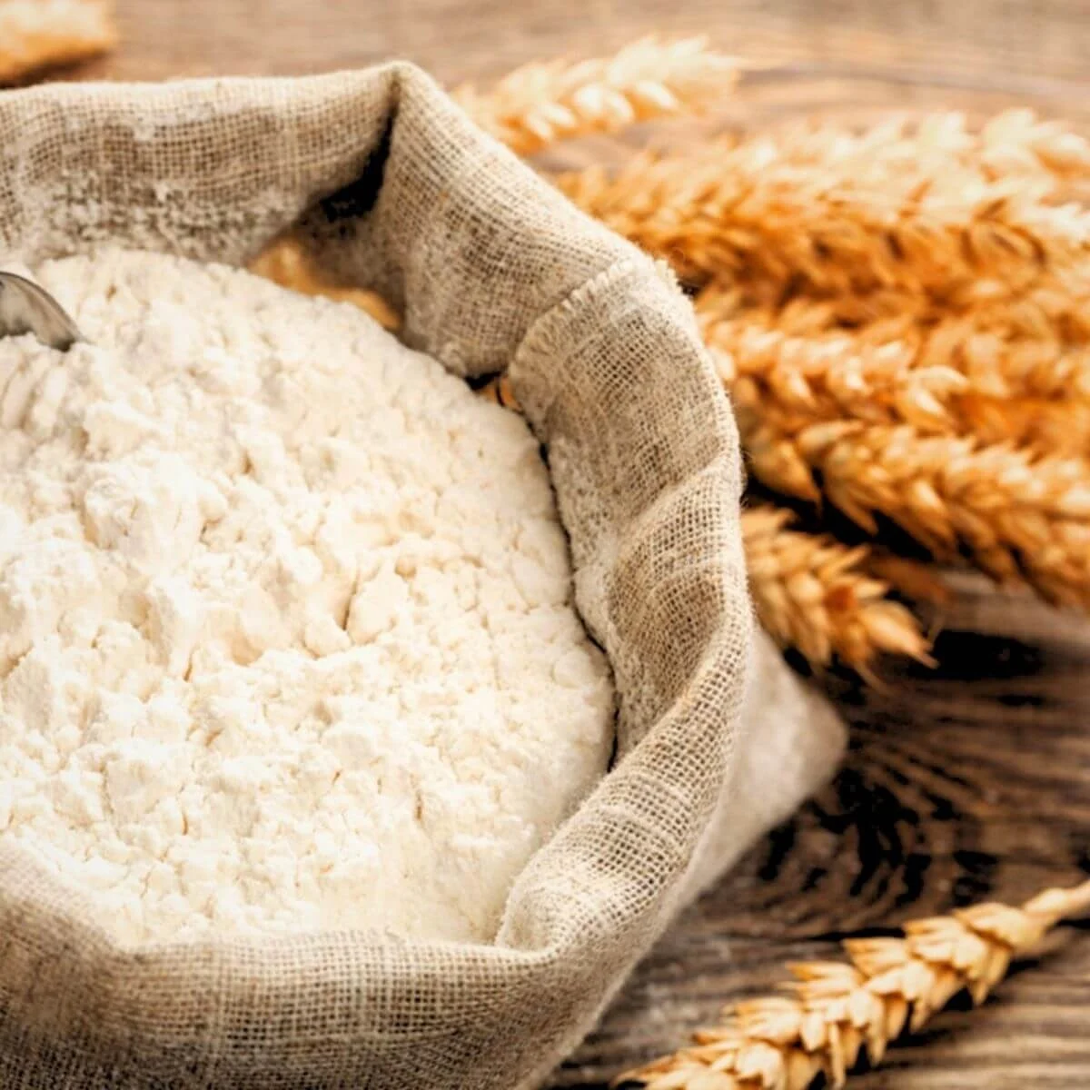 Wheat starch — product reference photograph