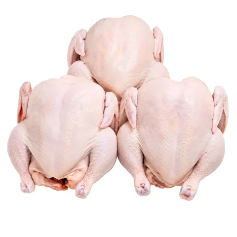 Chicken product reference