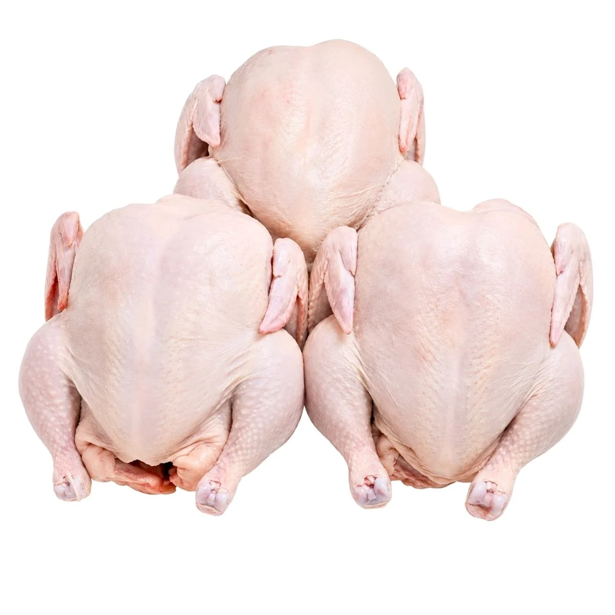 Whole chicken griller — product reference photograph