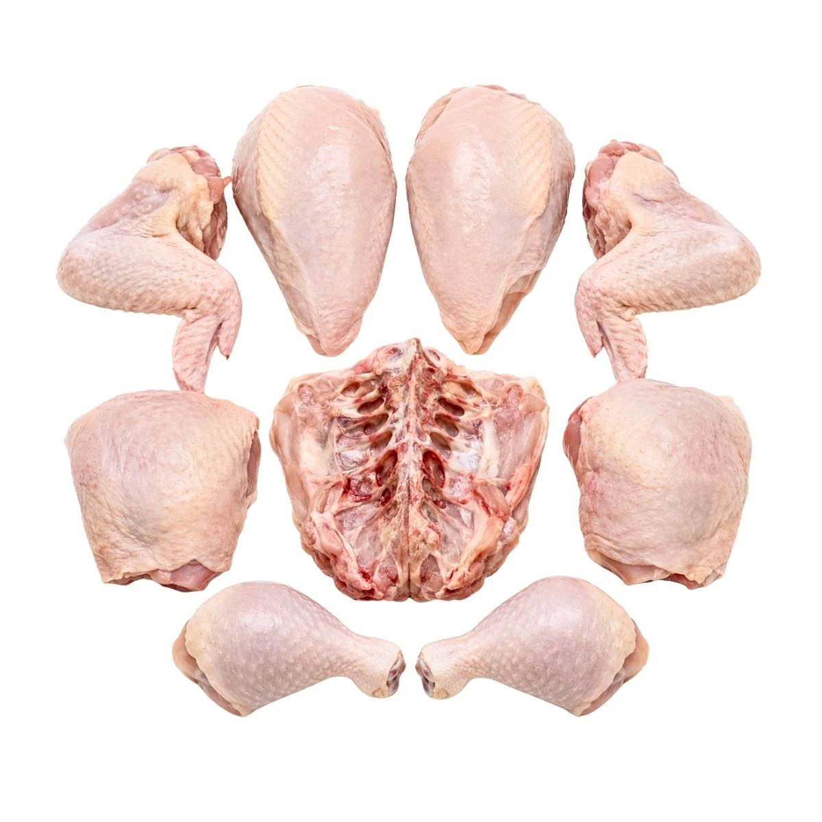 Whole chicken — nine-piece cut — product reference photograph